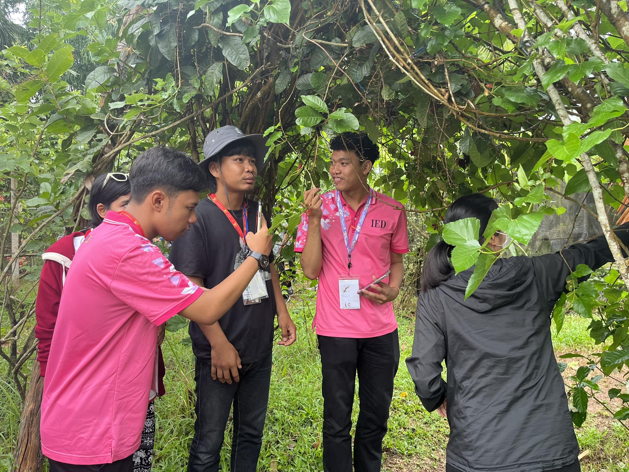 ภาพที่ 7