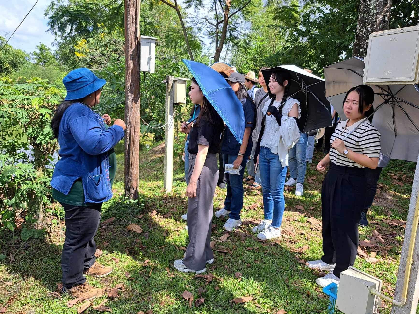 ภาพที่ 6