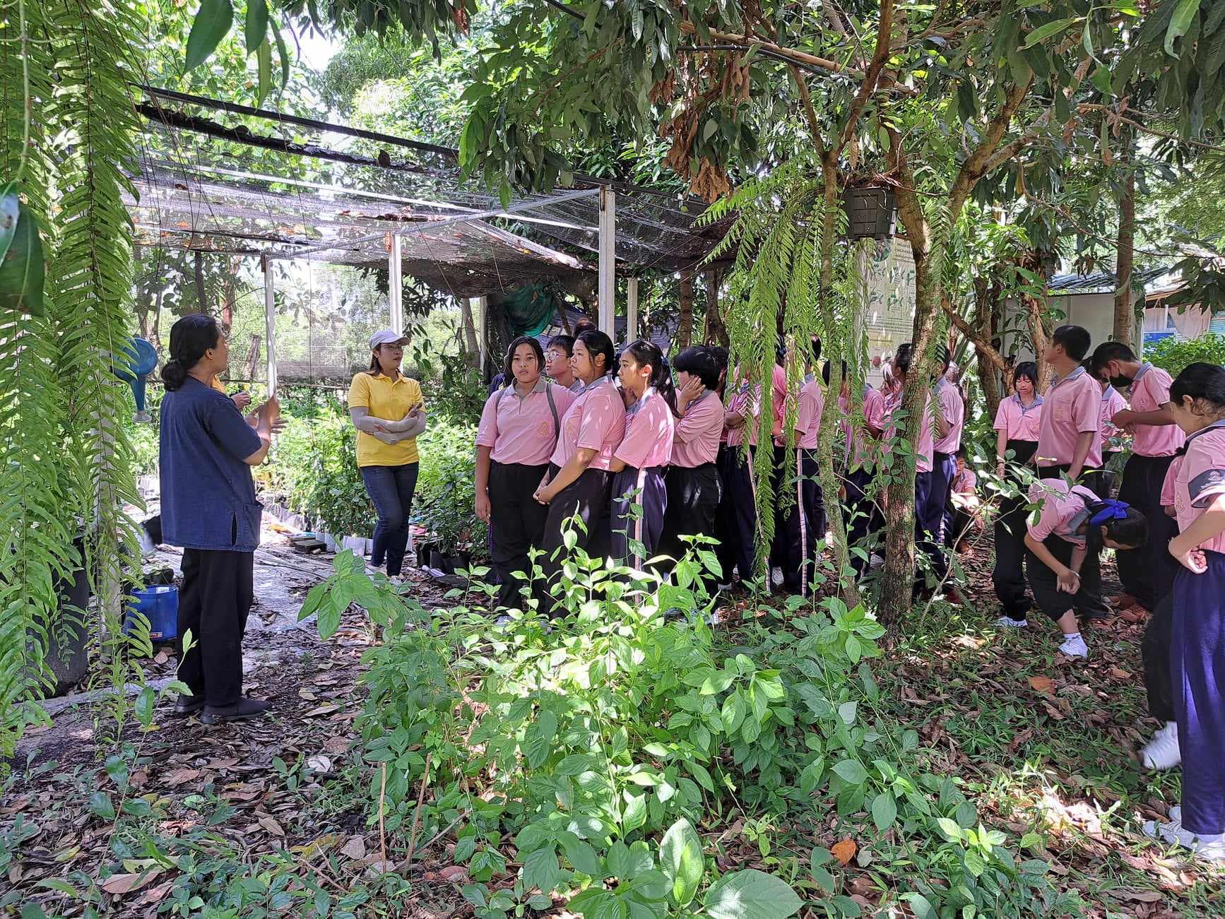 ภาพที่ 9