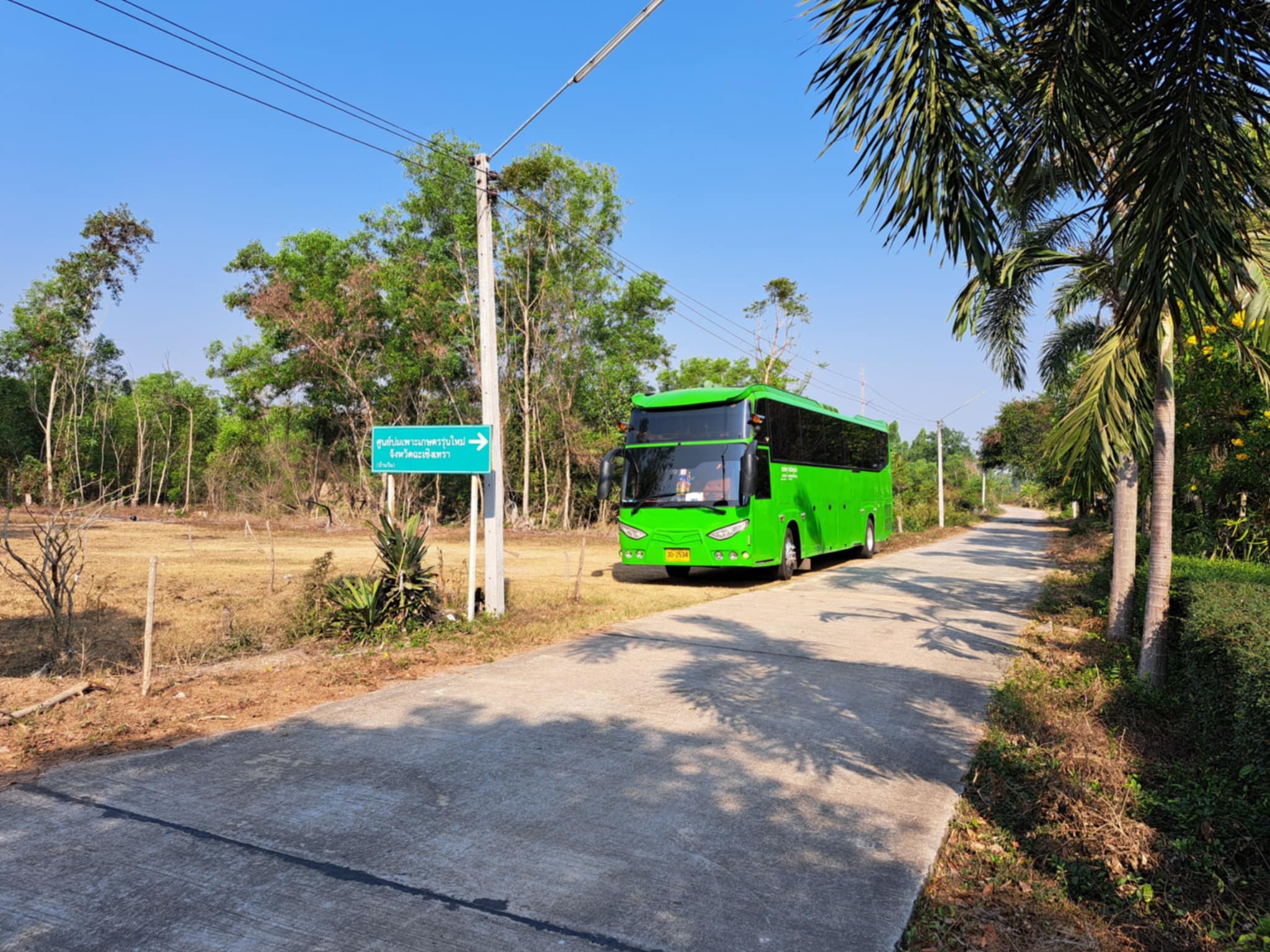 ภาพที่ 11