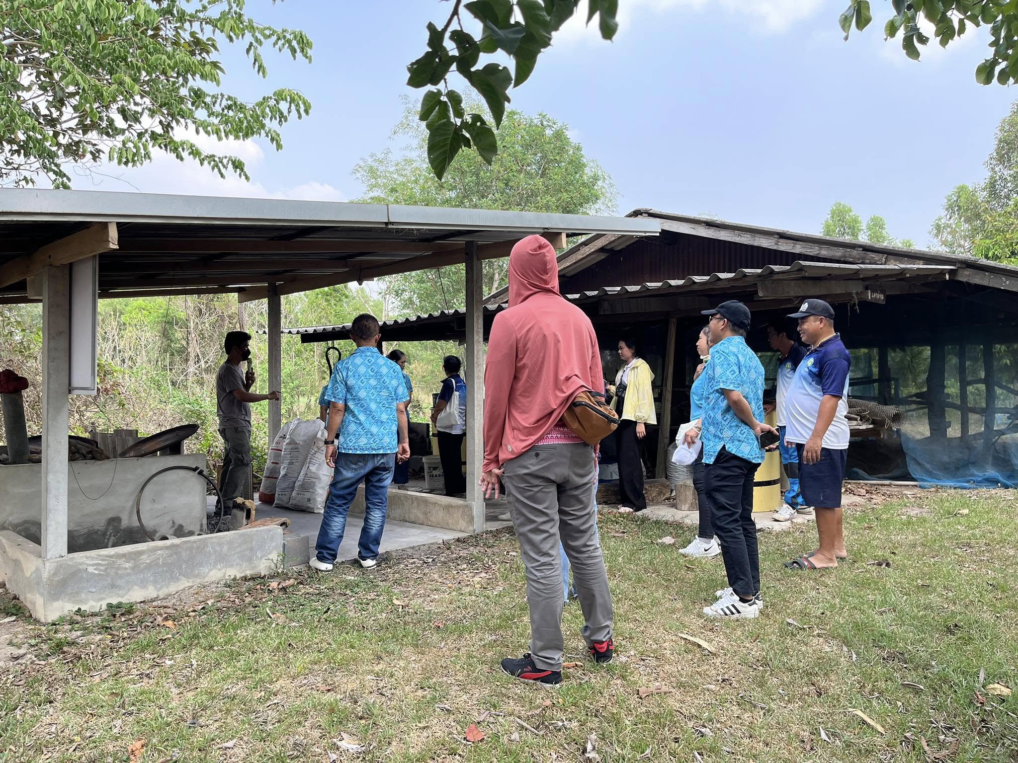 ภาพที่ 6