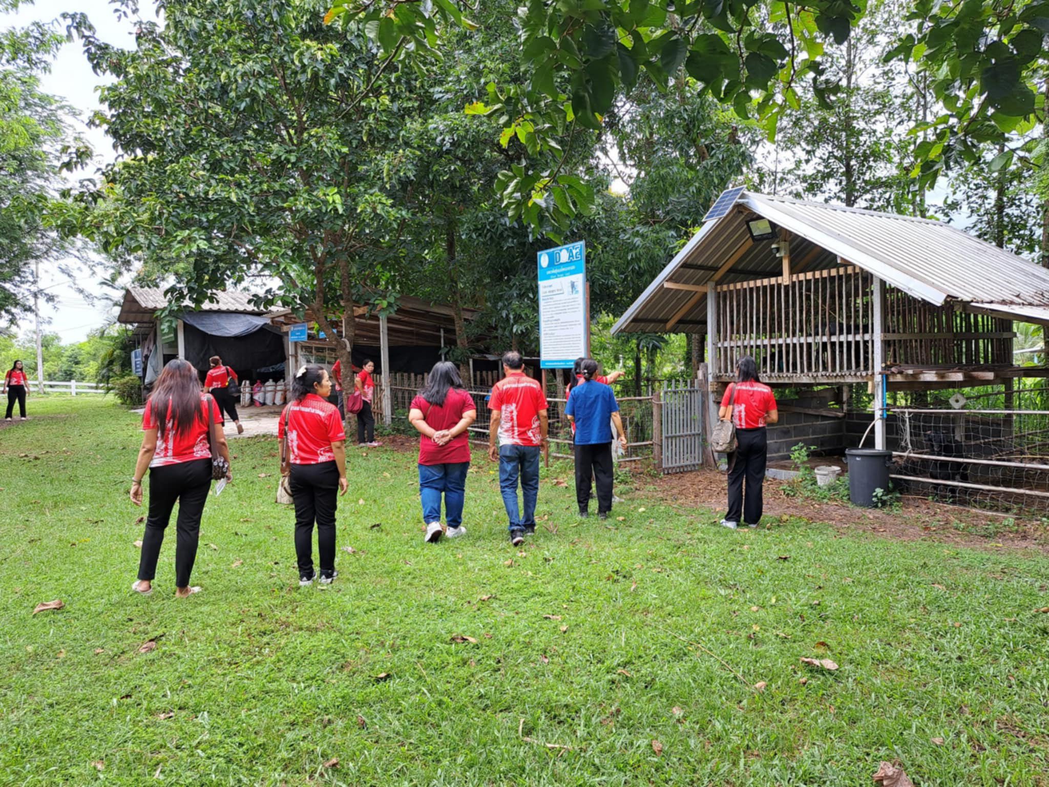 ภาพที่ 5