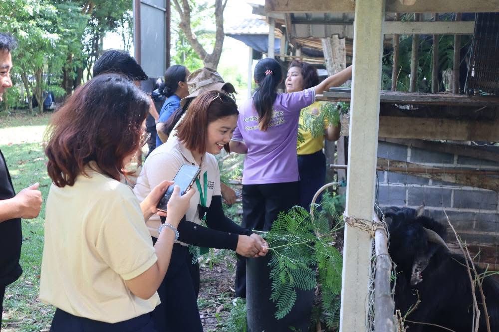 ภาพที่ 6