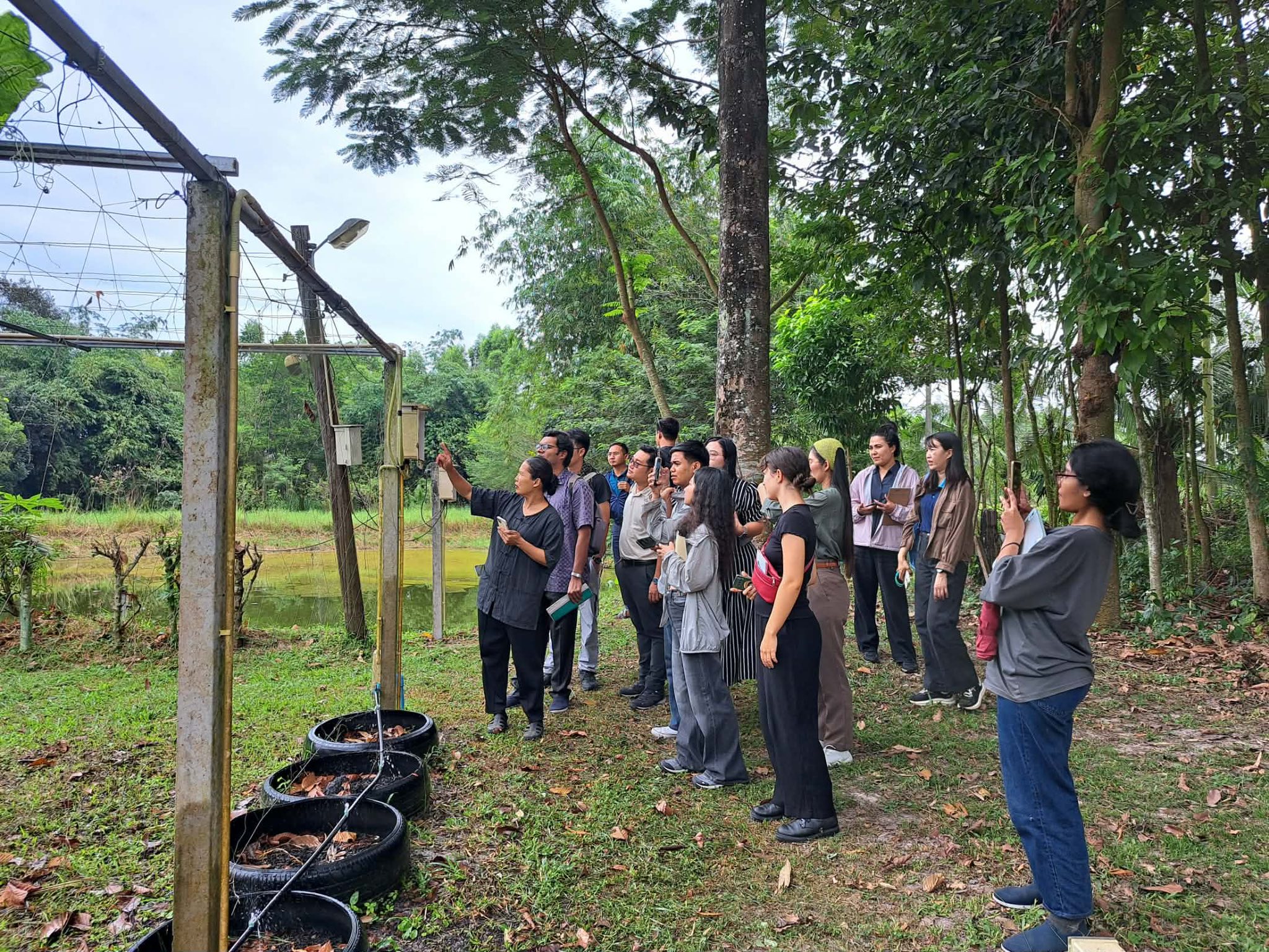 ภาพที่ 4