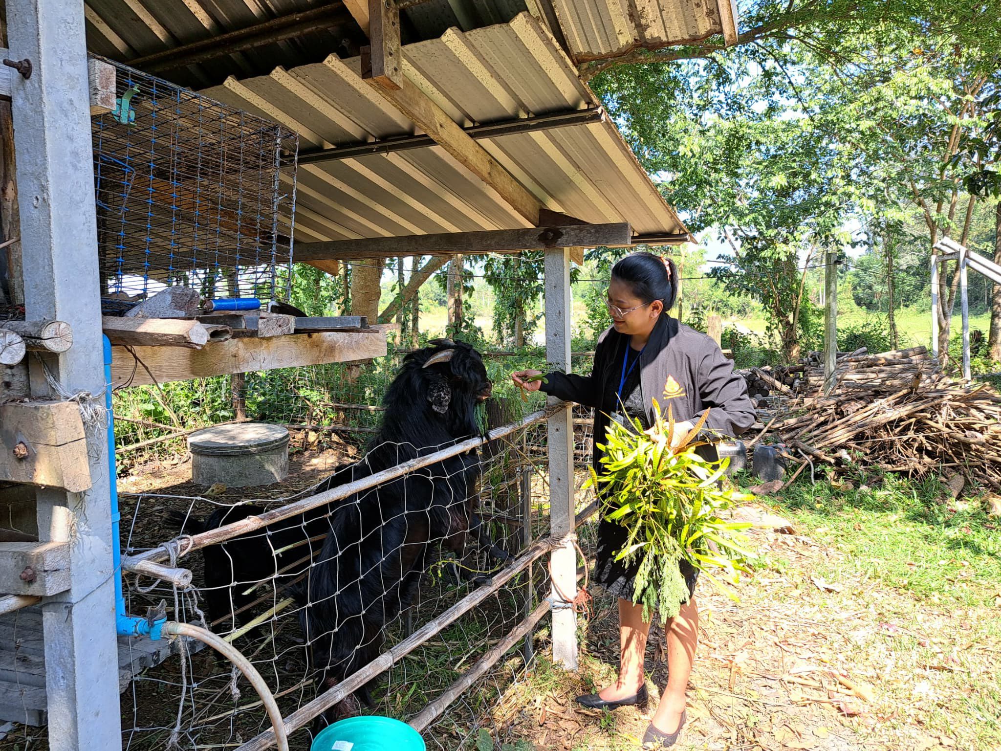 ภาพที่ 7