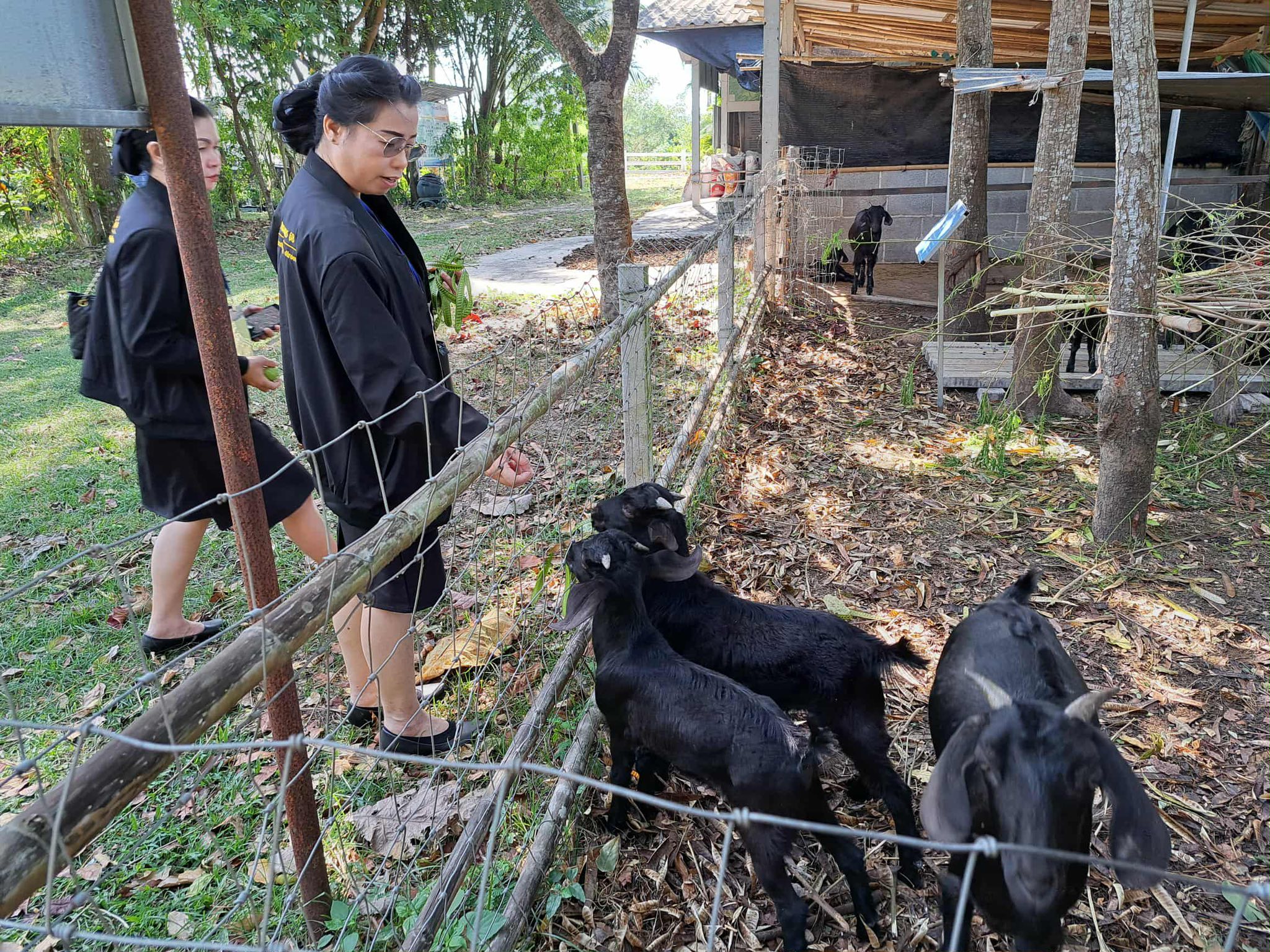 ภาพที่ 8