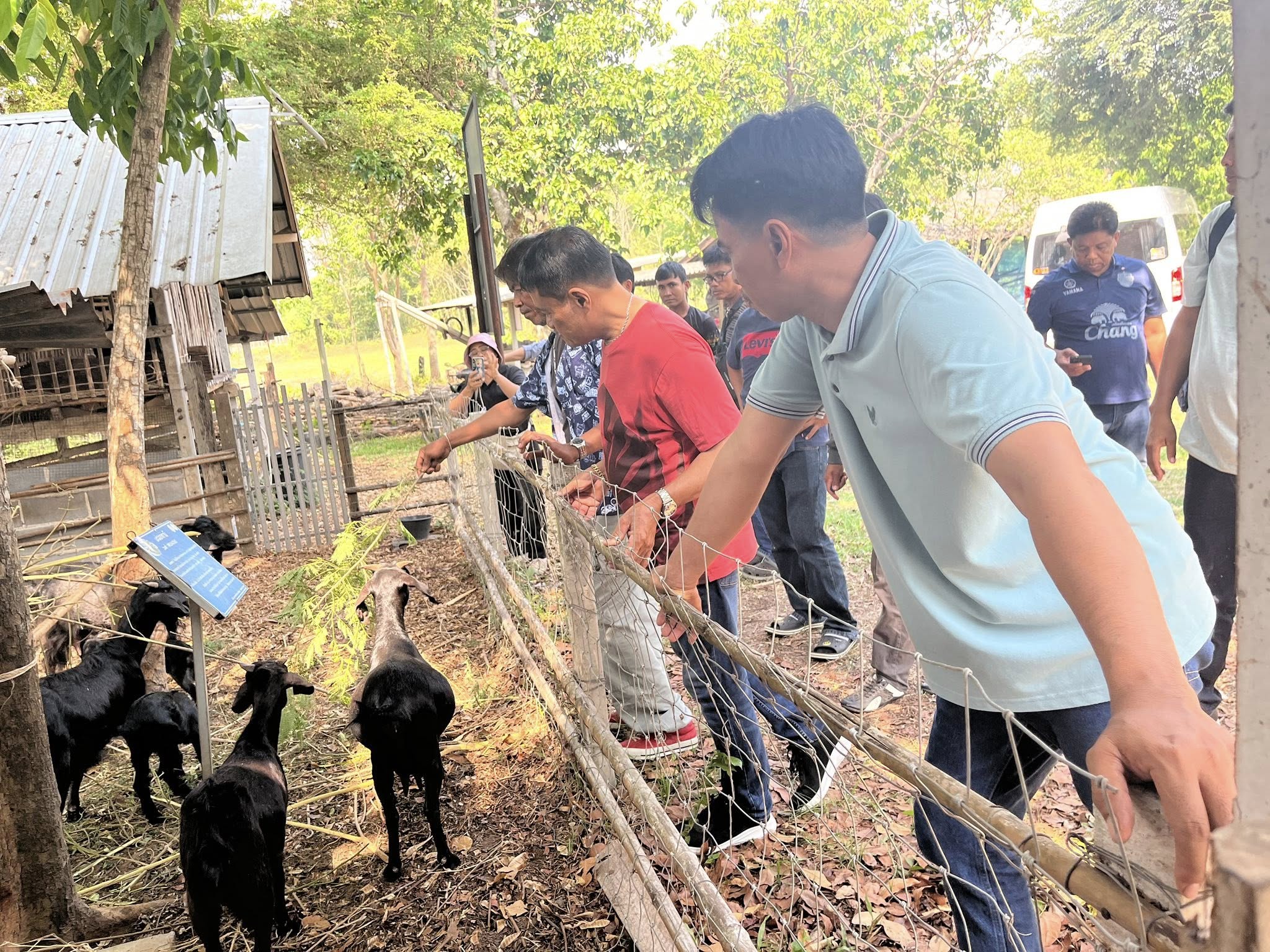 ภาพที่ 8