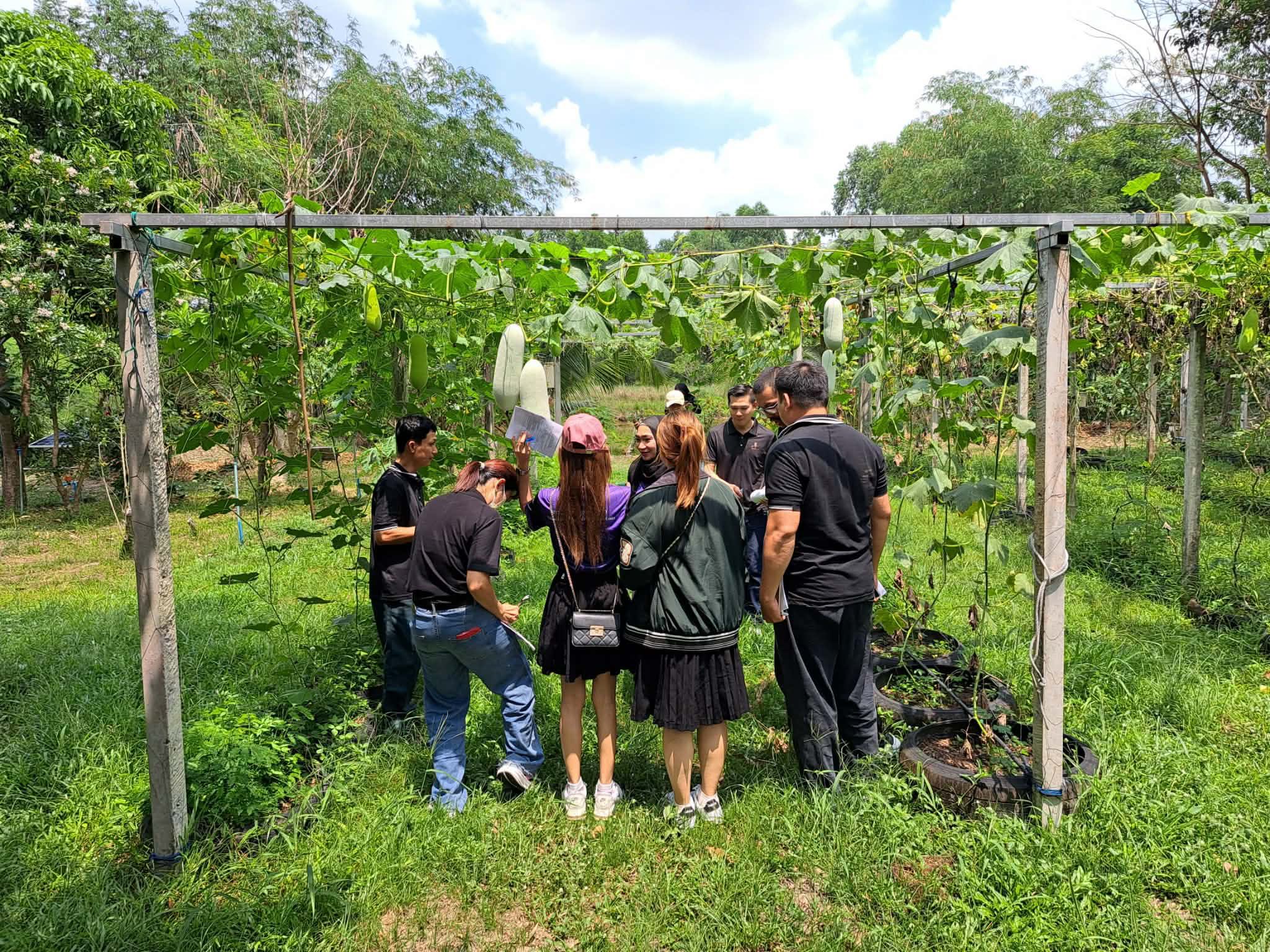 ภาพที่ 4