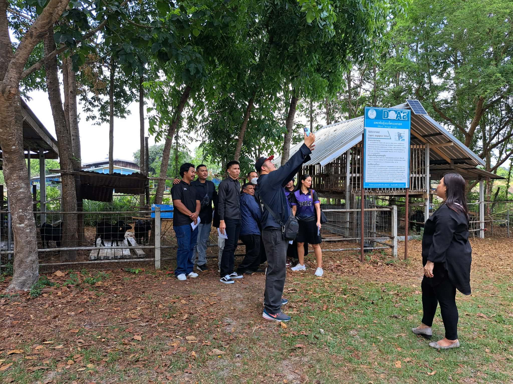 ภาพที่ 6