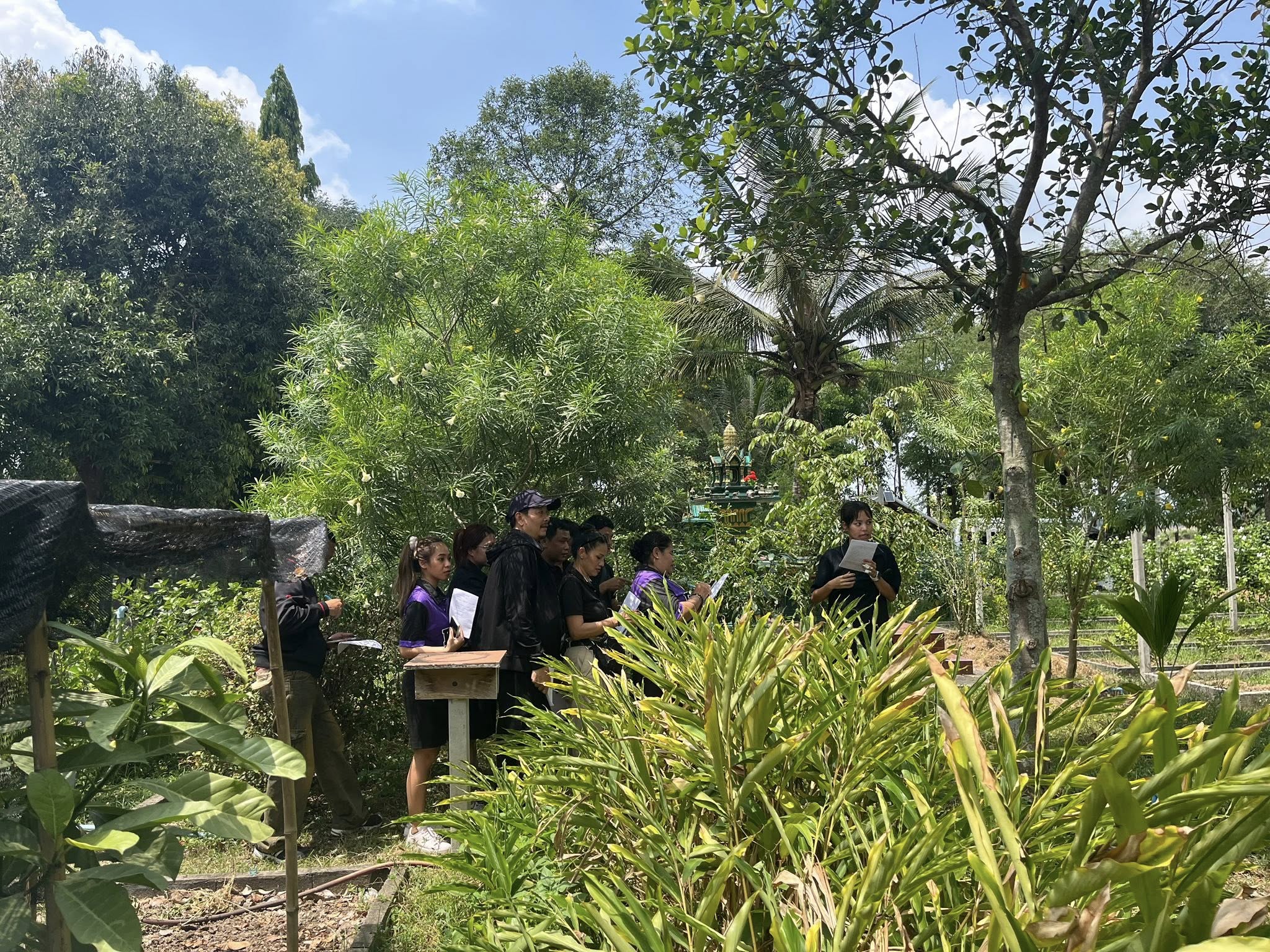 ภาพที่ 7