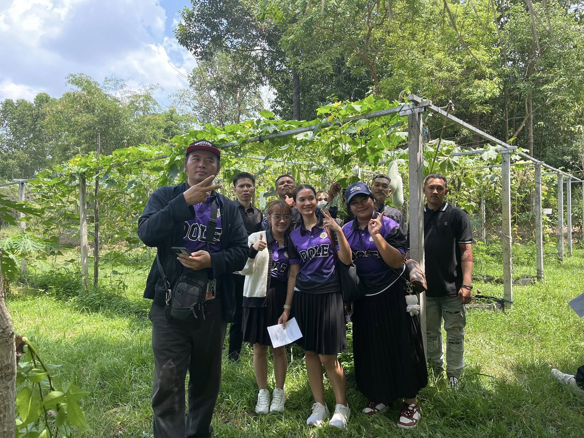 ภาพที่ 8