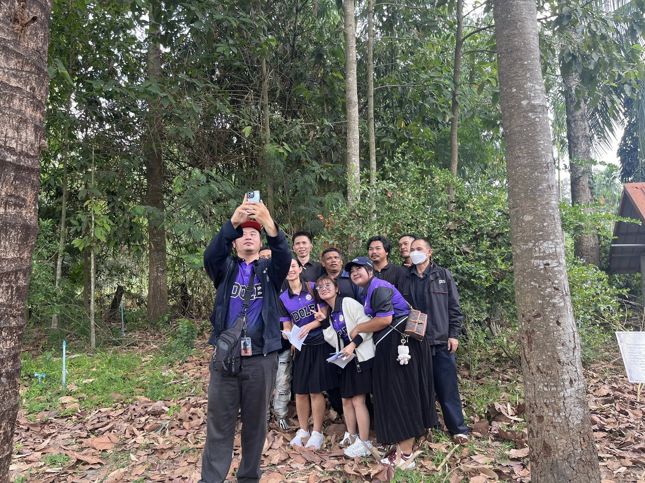 ภาพที่ 9