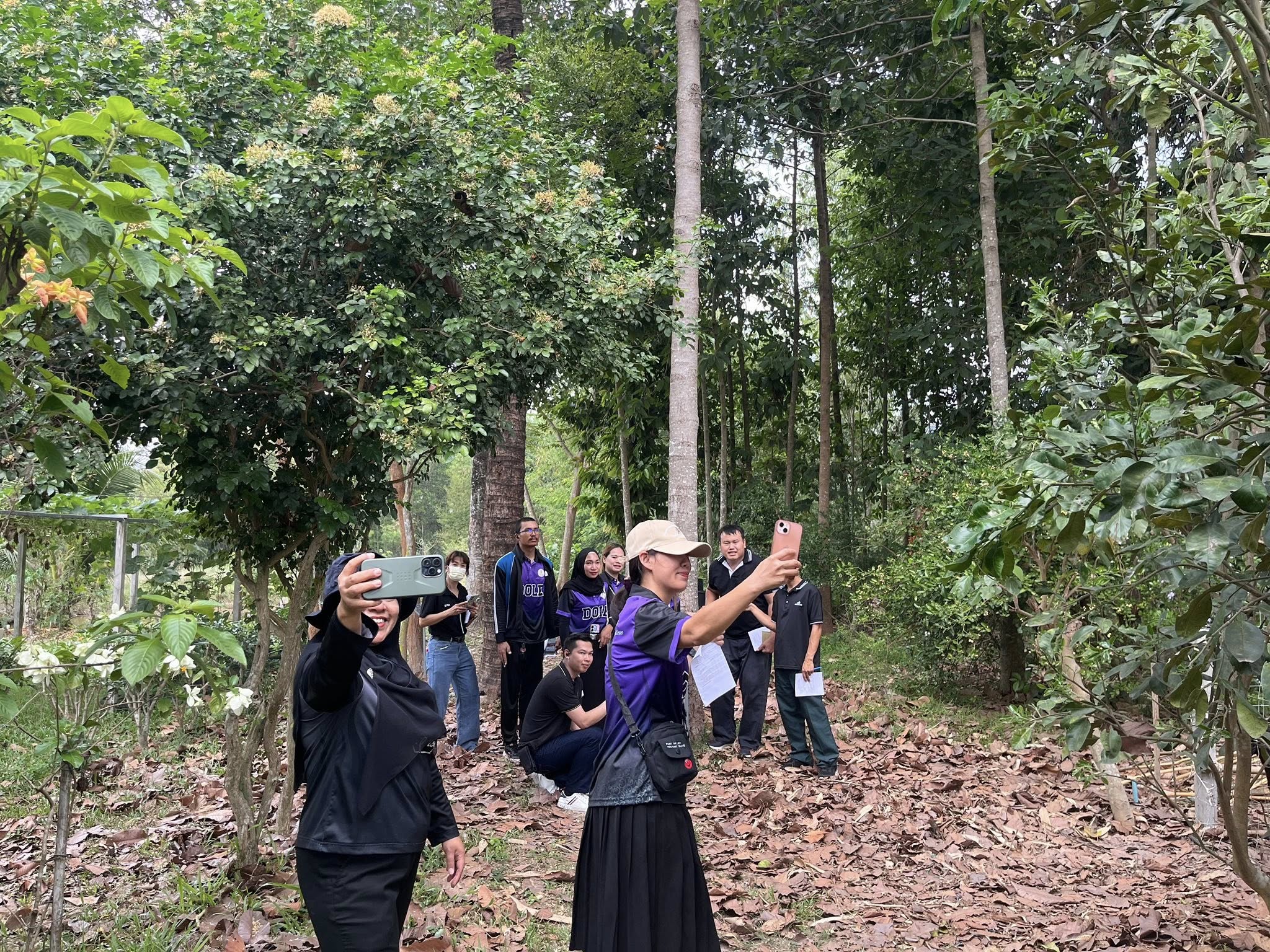 ภาพที่ 10