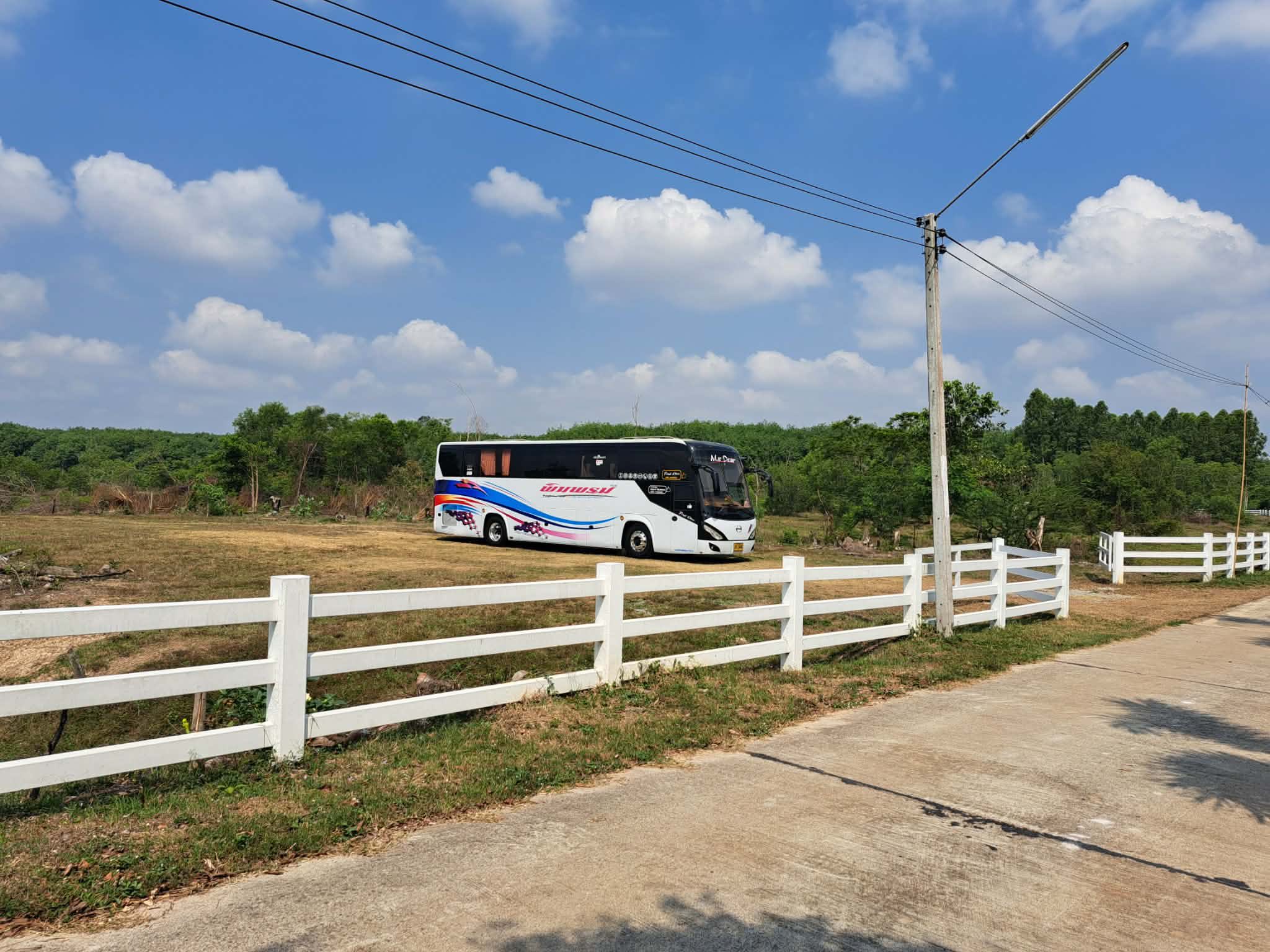 ภาพที่ 11