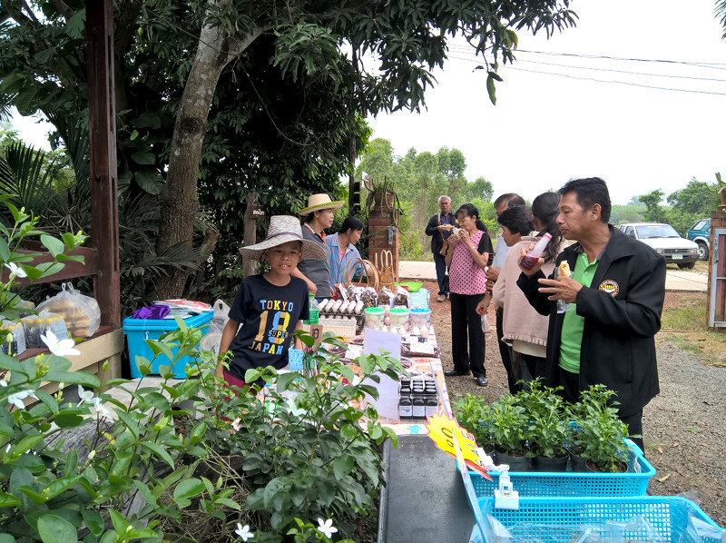ภาพที่ 9
