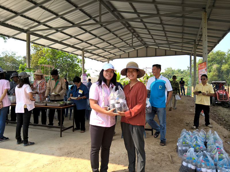 ภาพที่ 5