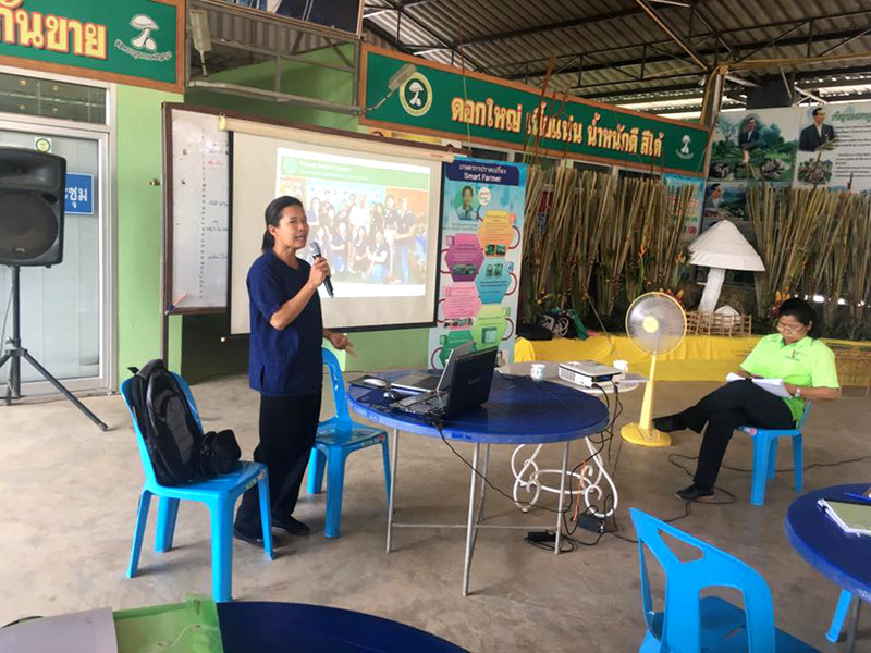 ภาพที่ 3