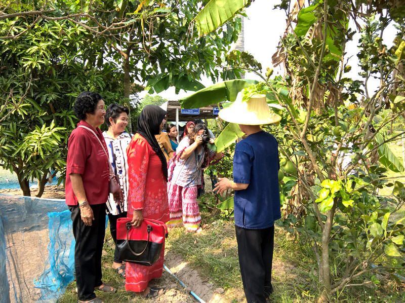 ภาพที่ 7
