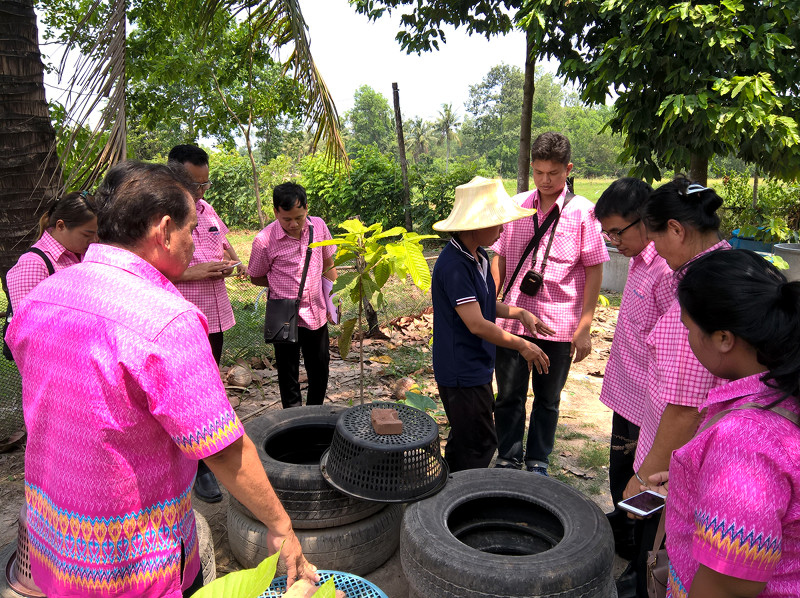 ภาพที่ 7