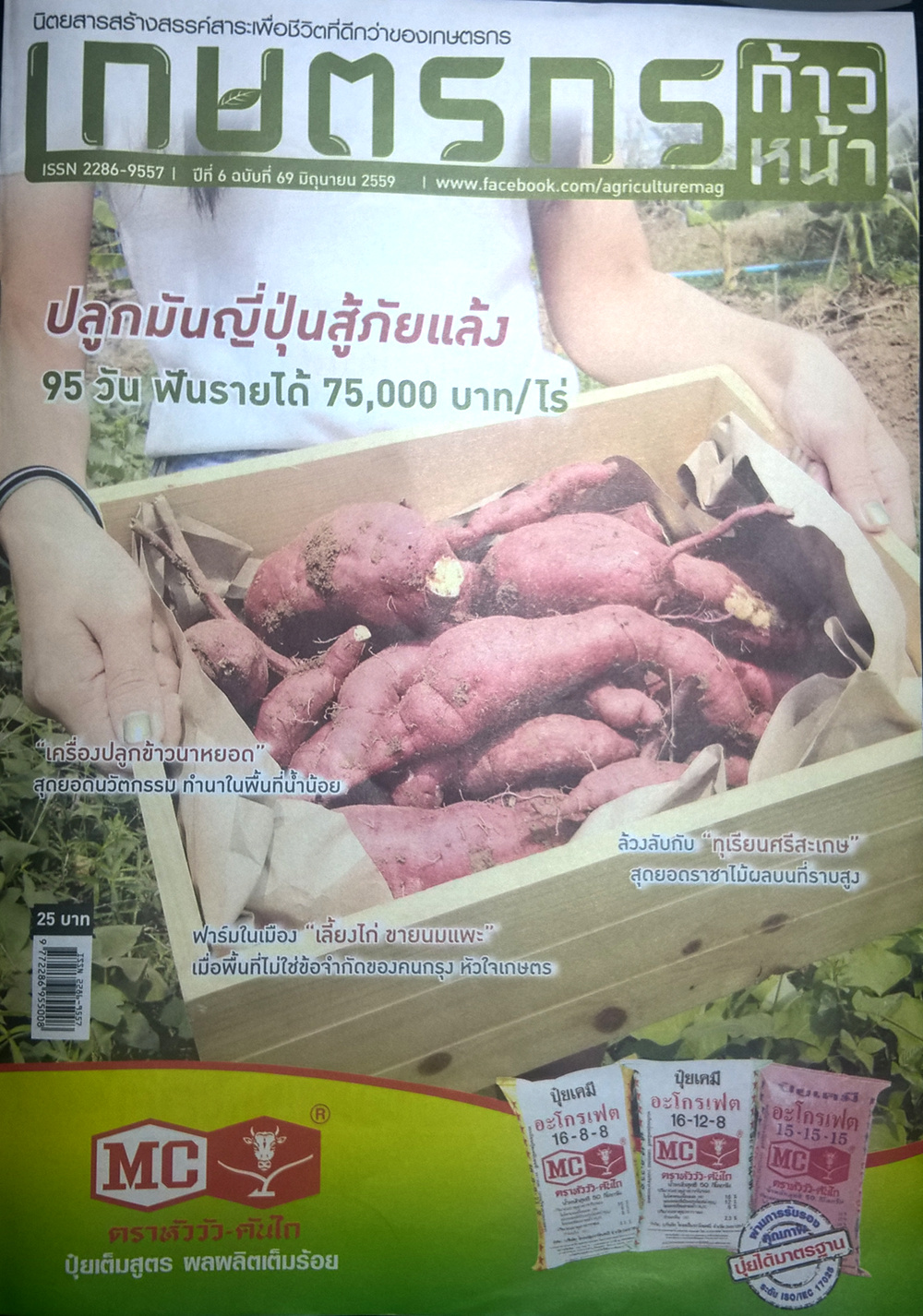 ภาพที่ 1