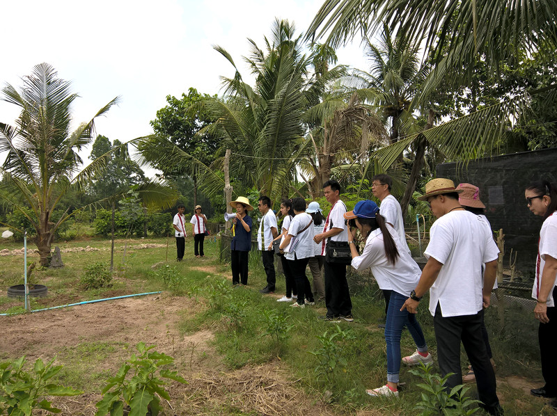 ภาพที่ 4