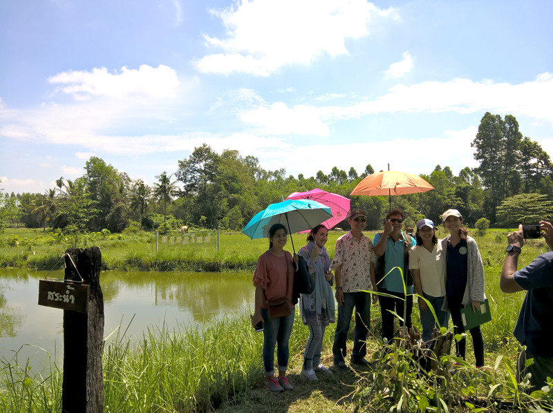 ภาพที่ 6