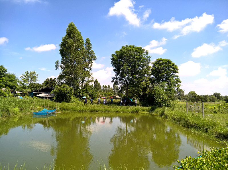 ภาพที่ 8