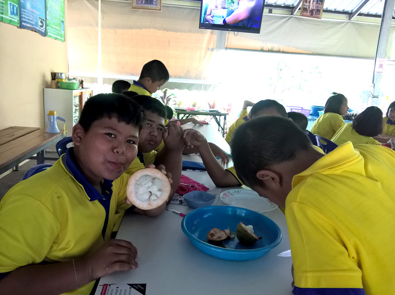 ภาพที่ 14