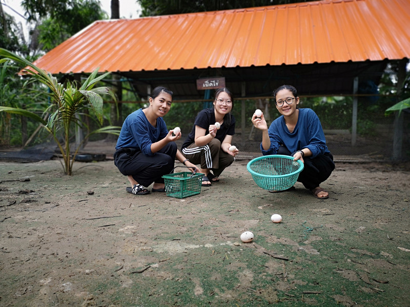 ภาพที่ 3
