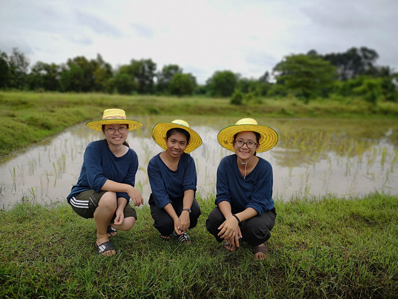 ภาพที่ 11