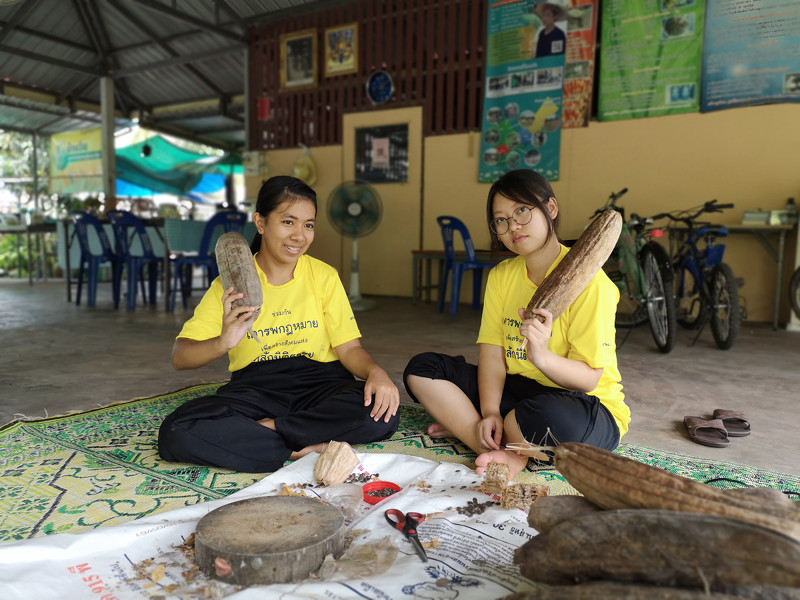 ภาพที่ 13