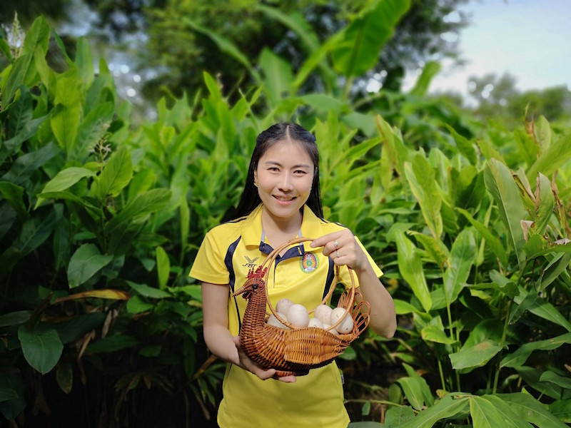 ภาพที่ 4