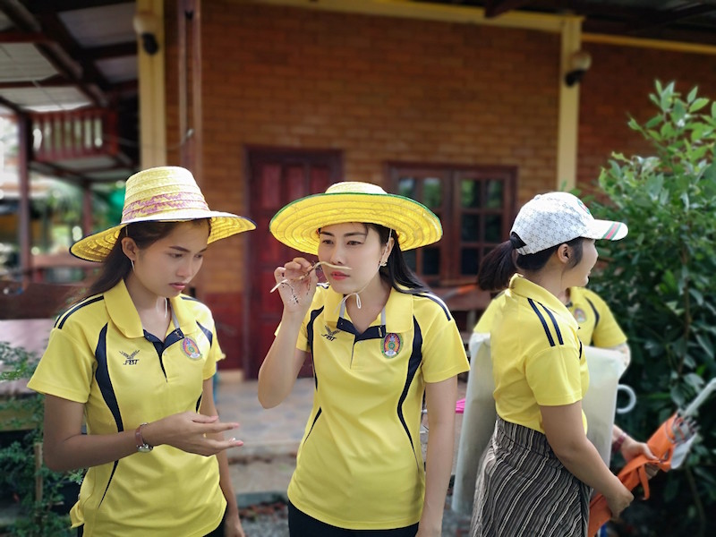ภาพที่ 11