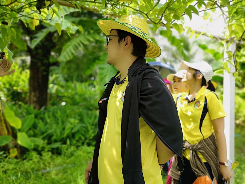 ภาพที่ 14