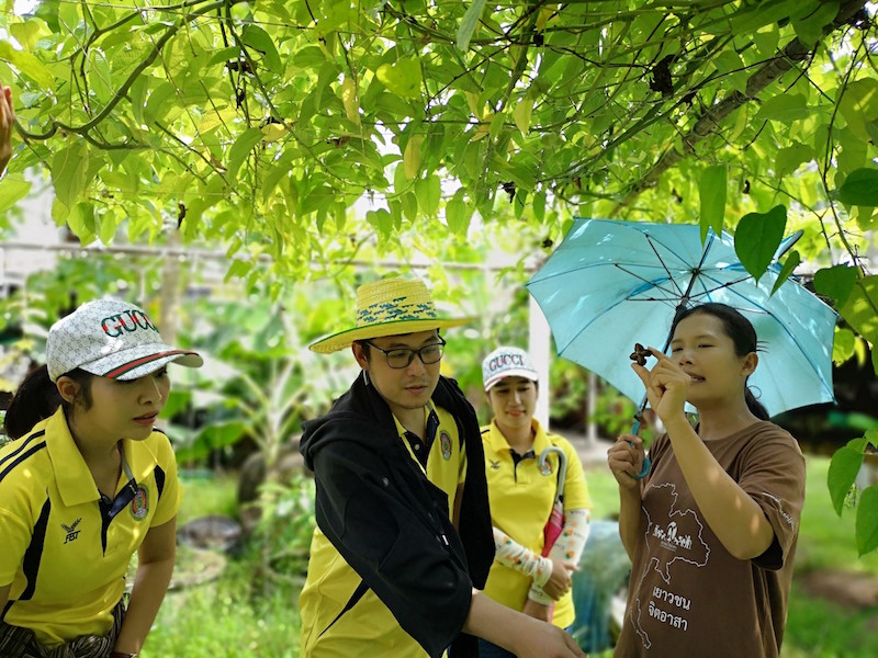 ภาพที่ 15