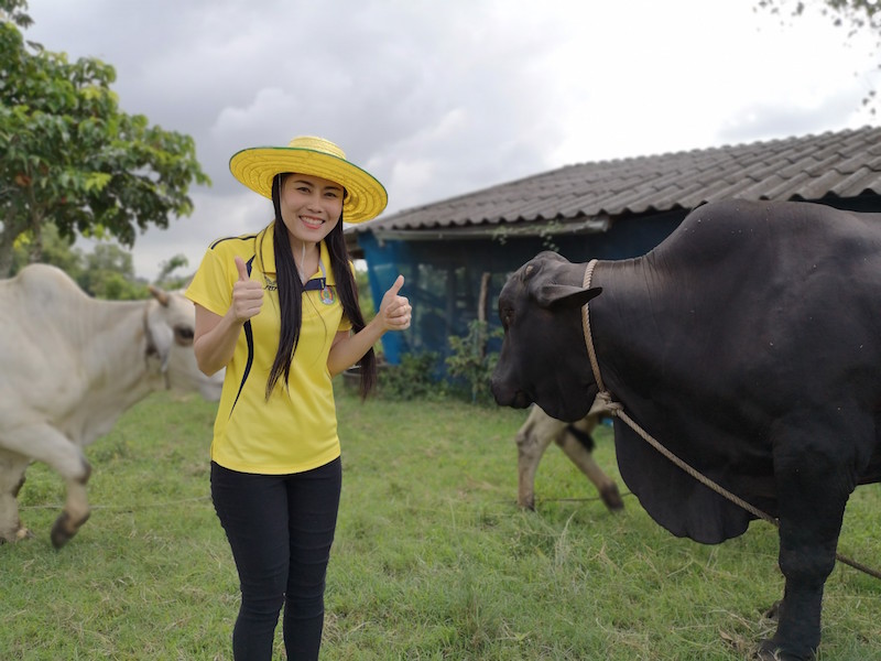 ภาพที่ 21