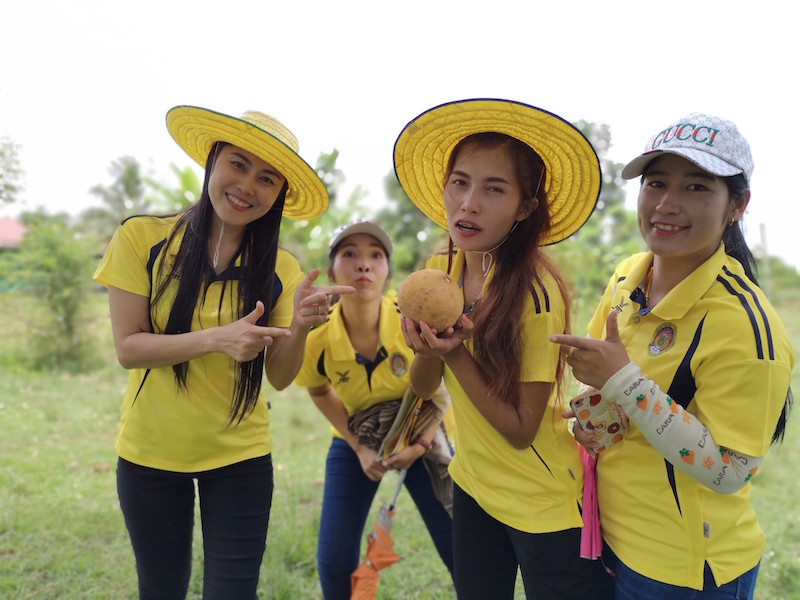 ภาพที่ 23