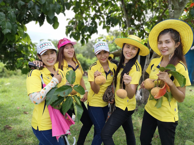 ภาพที่ 24