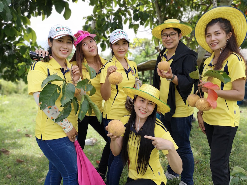 ภาพที่ 25