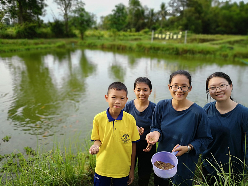 ภาพที่ 14