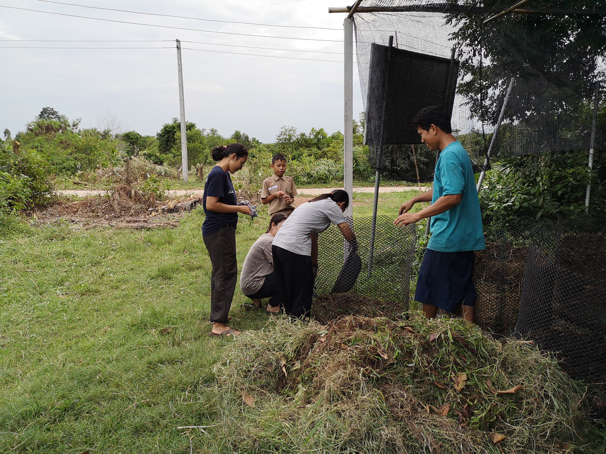 ภาพที่ 11