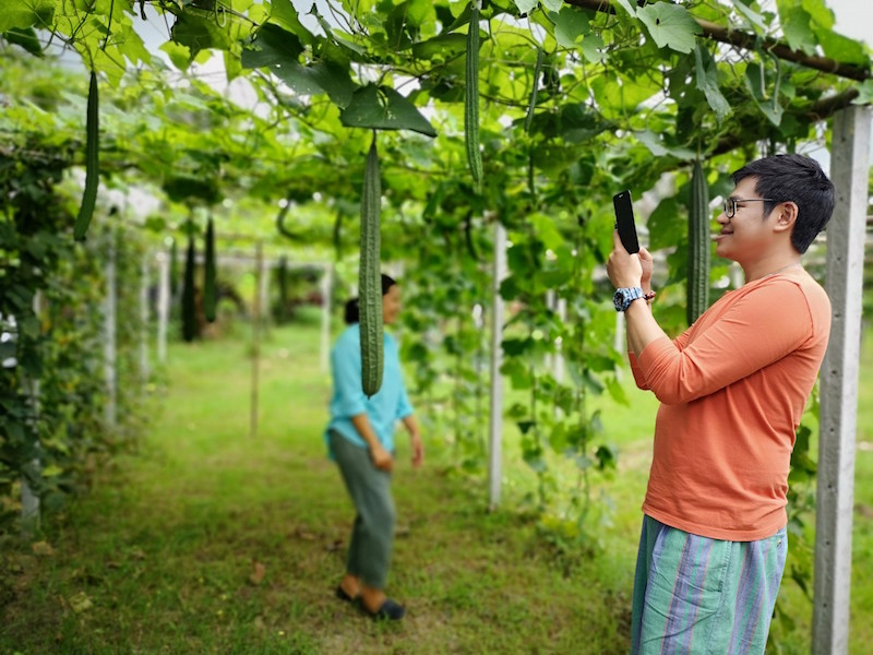 ภาพที่ 7