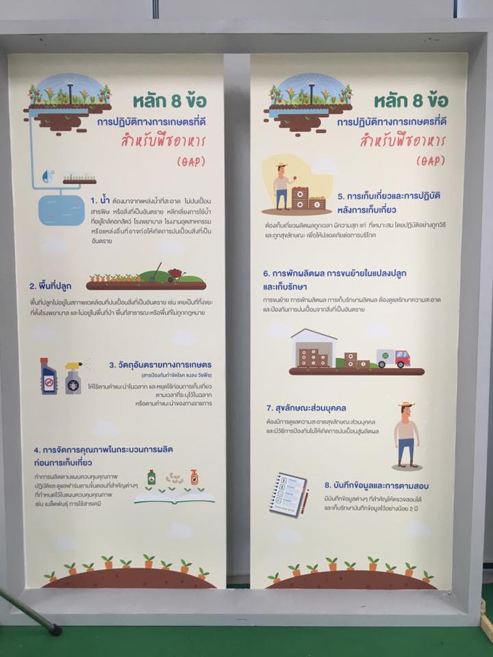 ภาพที่ 5