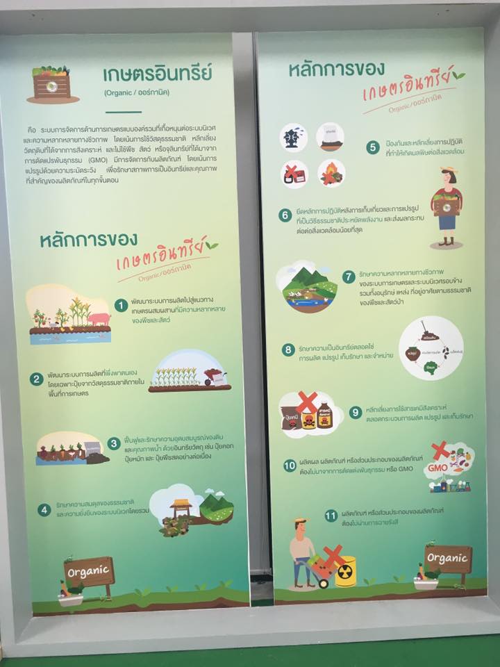 ภาพที่ 6