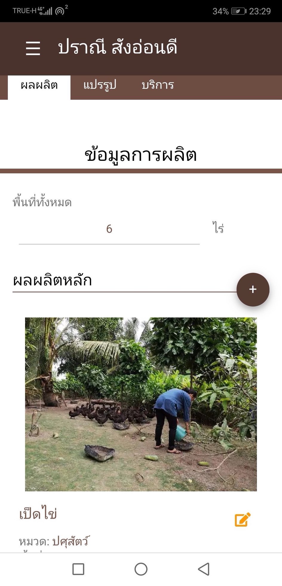 ภาพที่ 10