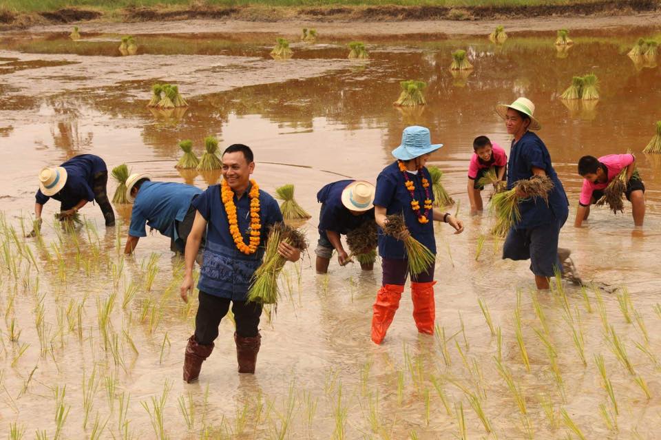 ภาพที่ 5