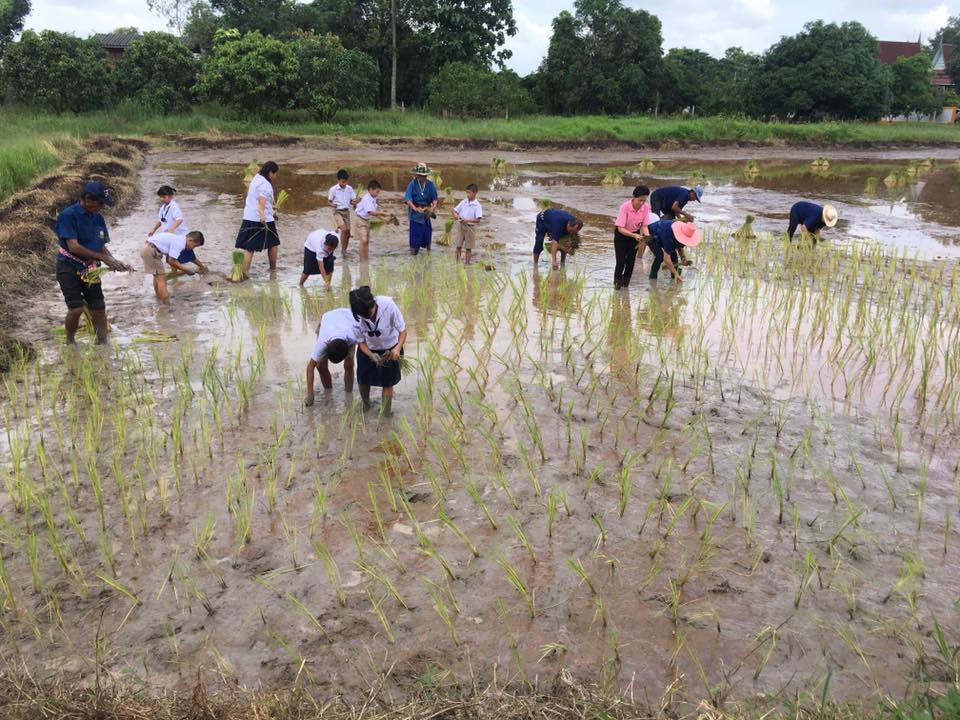 ภาพที่ 6