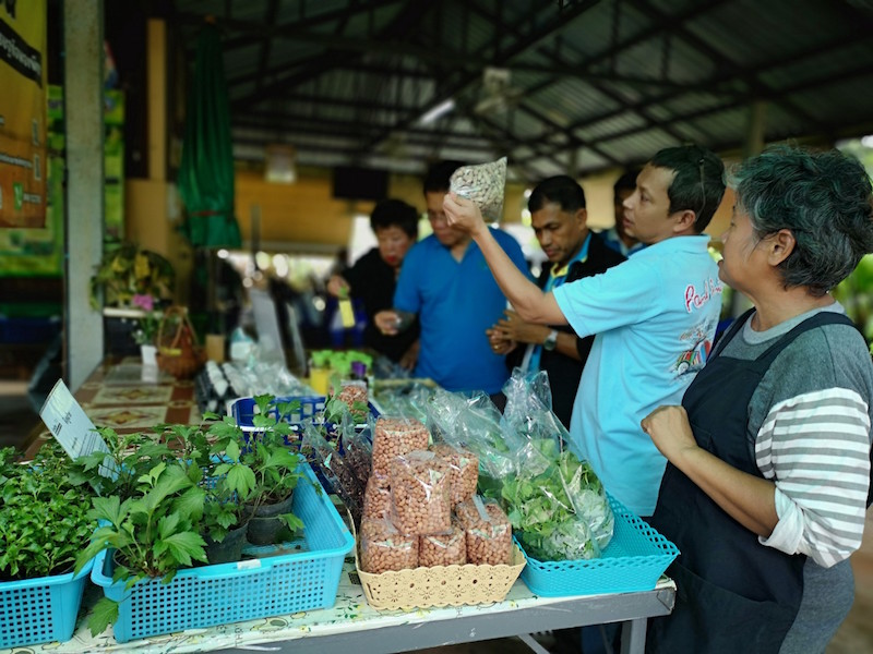 ภาพที่ 25
