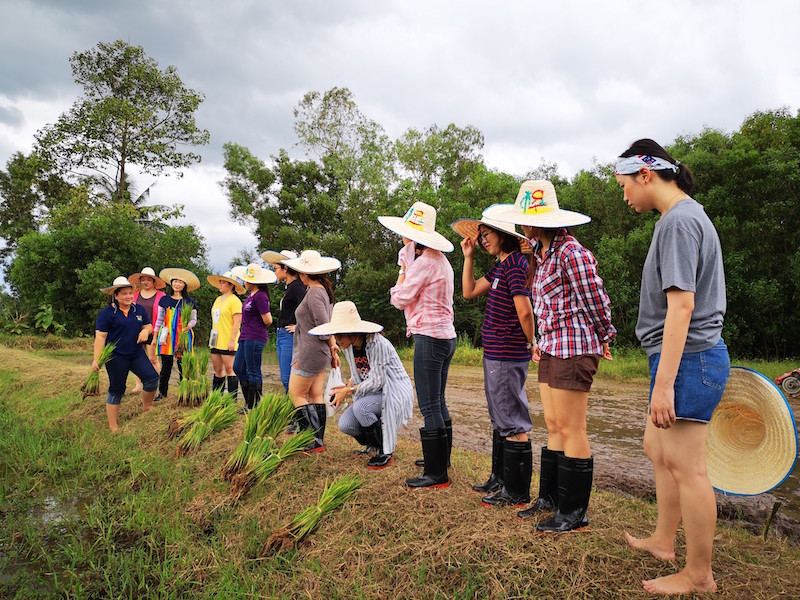 ภาพที่ 7