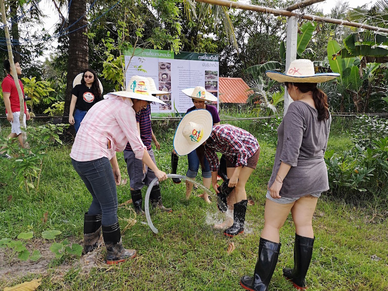 ภาพที่ 12